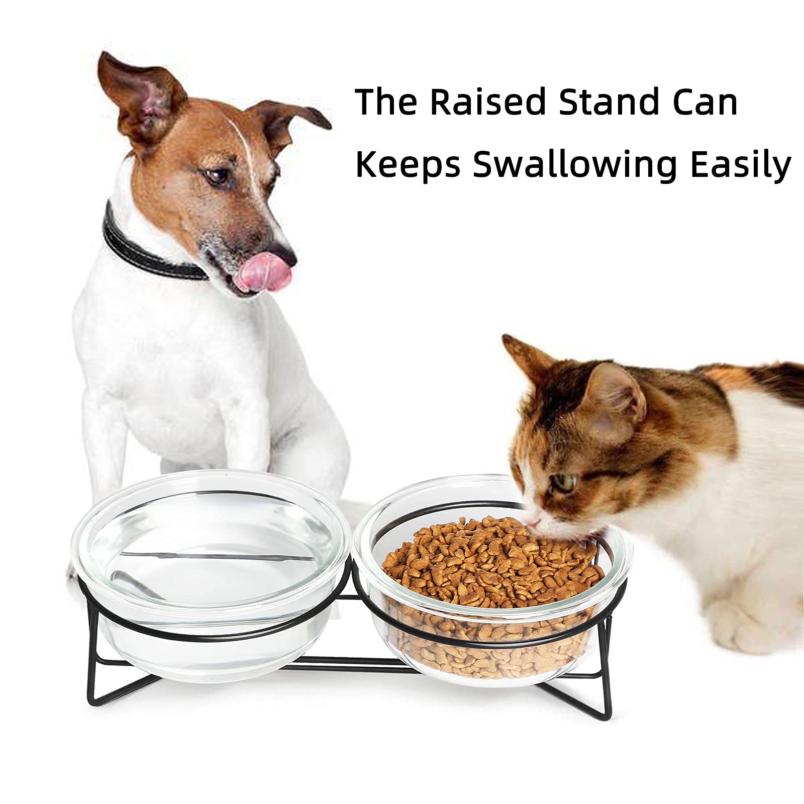 GDCZ Elevated Cat Bowls with Metal Stand - 18oz Transparent Glass Pet Food & Water Dishes for Healthy Digestion - Perfect for Kittens, Adult Cats & Small Dogs at Home