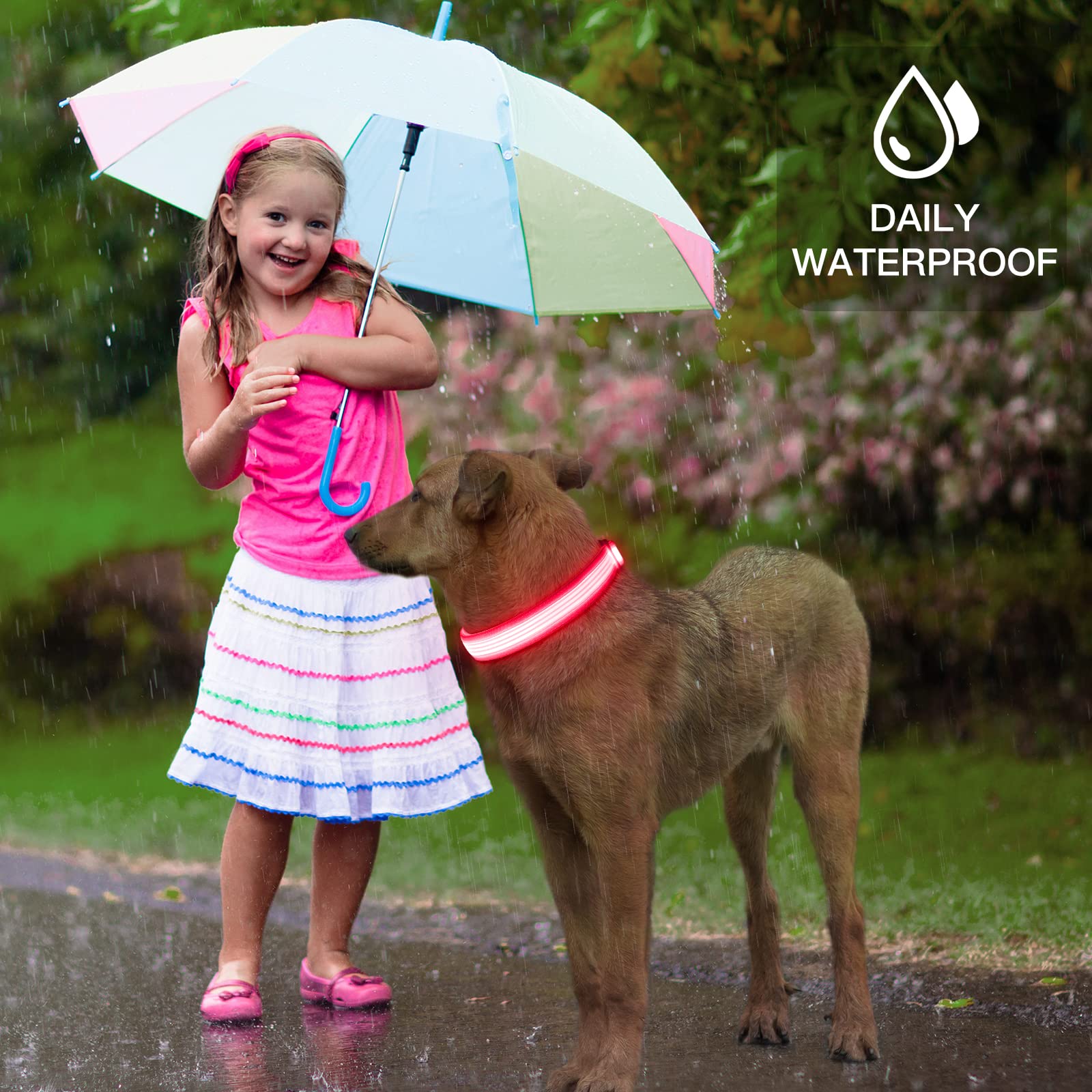 YFbrite USB Rechargeable LED Dog Collar - Super Bright Adjustable Glowing Collar for Night Walking, Safety & Visibility (Pink, Medium) - Perfect for Evening Walks, Jogging, and Outdoor Adventures with Your Pet