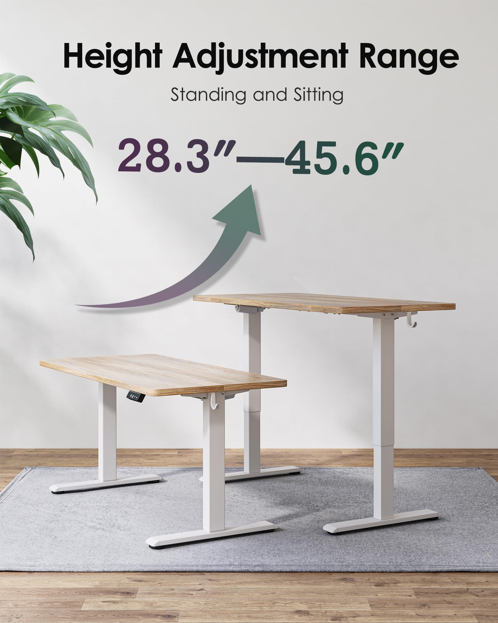 TIQLAB 55 x 24 Inch Electric Height Adjustable Standing Desk - Sit to Stand Home Office Desk with Splice Board, White Frame & Maple Top - Perfect for Remote Work, Gaming & Ergonomic Workspaces
