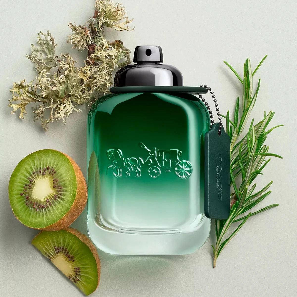 Coach Green 2.0 oz Eau de Toilette Spray for Men - Fresh Citrus & Woody Fragrance for Day & Night Wear, Office & Date Nights