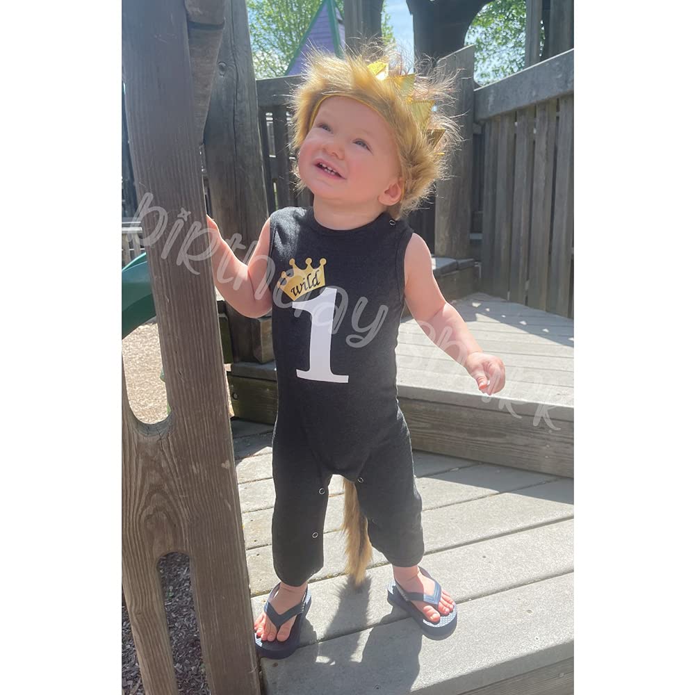 Wild One 1st Birthday Outfit for Baby Boys - Cute First Birthday Romper & Party Clothes | Perfect for Birthday Photos, Cake Smash, and Special Celebrations