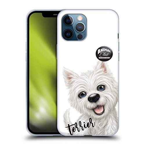 Terrier