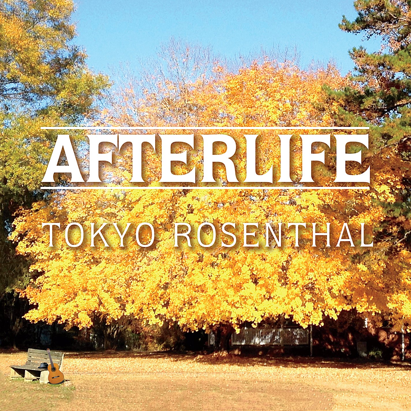 Afterlife - Explore the Mysteries of the Beyond | Spiritual & Paranormal Books, Movies & Collectibles | Perfect for Halloween, Ghost Hunting & Paranormal Enthusiasts