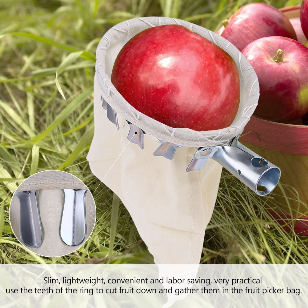 Yosoo Metal Fruit Picker Tool for Citrus, Pear, Peach - Garden Harvesting