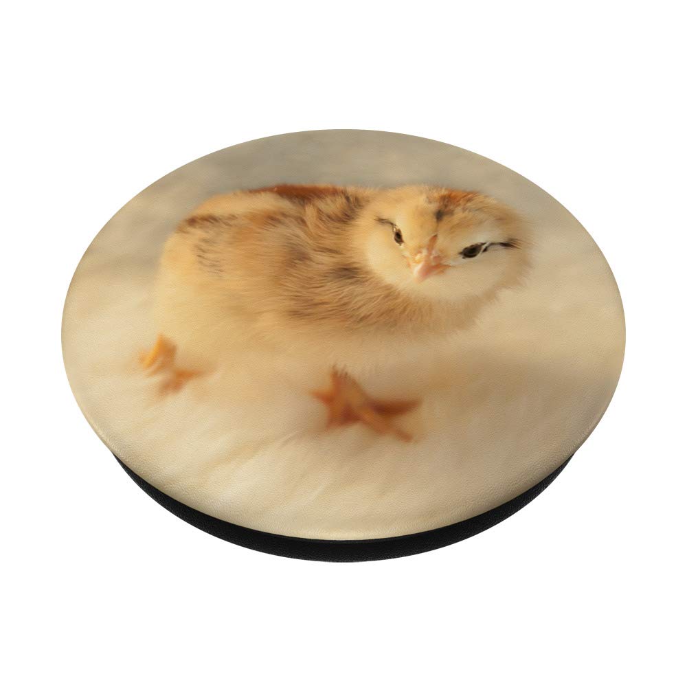 Fluffy Yellow Baby Chick PopSockets Phone Grip & Stand - Compatible with iPhone, Samsung, Tablets - Perfect for Kids, Easter Gifts & Spring Decor