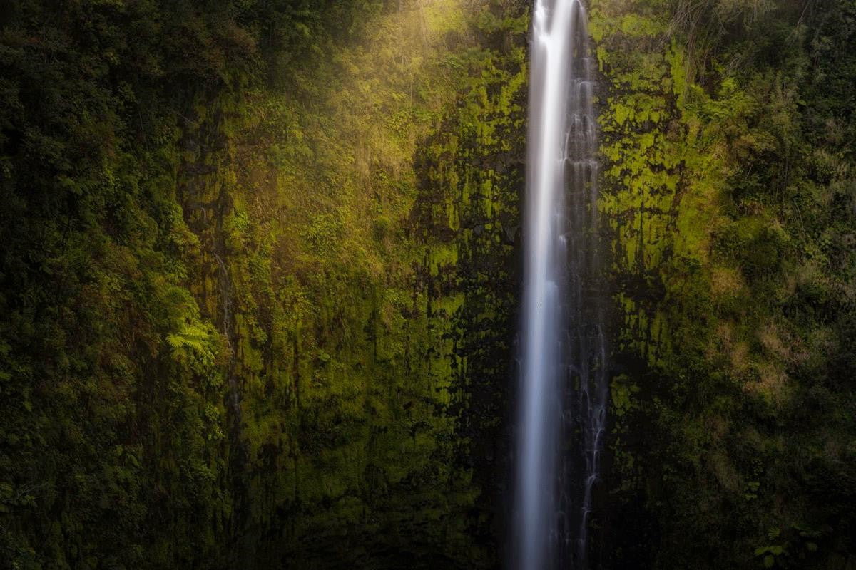 Stunning Akaka Falls Hawaii Landscape Art Print - Premium Gallery Wrap Canvas for Home & Office Decor - Perfect for Living Room, Bedroom, or Gift