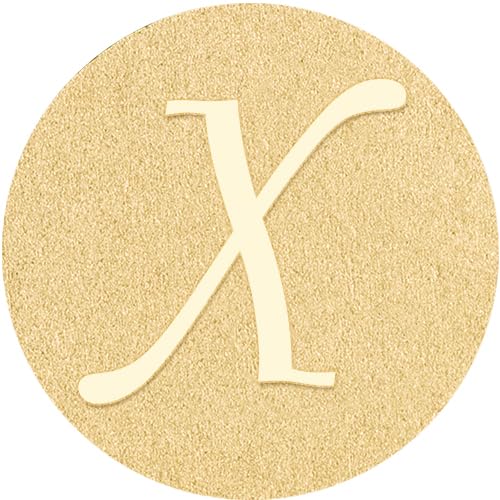 X Tie Pins