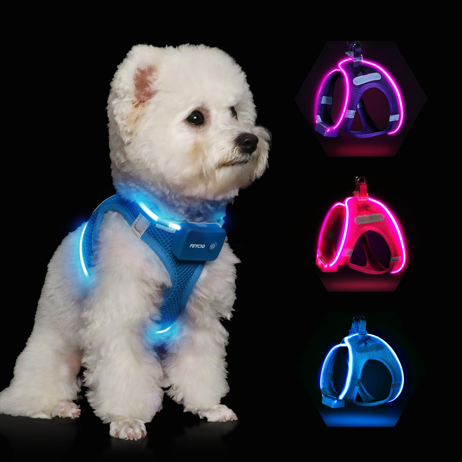 Rechargeable LED Dog Harness for Small & Medium Dogs - No Pull Reflective Vest with 360° High Visibility | Blue Light Up Step-in Harness for Night Walking Safety (Perfect for Evening Walks, Jogging & Outdoor Adventures)
