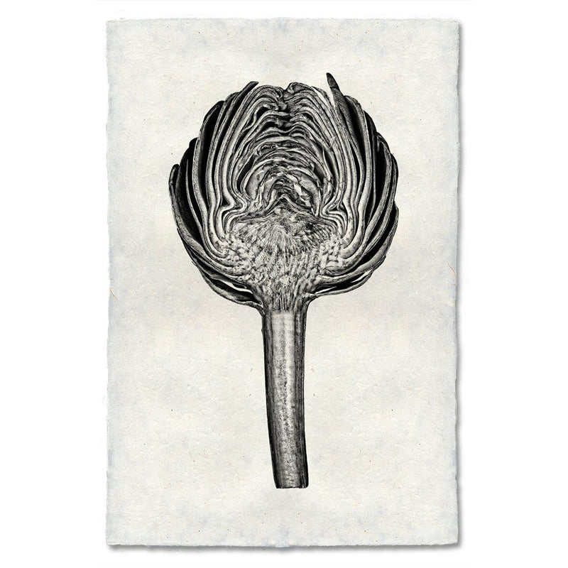 Artichoke Art Print - Botanical Wall Decor for Kitchen, Dining Room & Home Office - High Quality Canvas or Framed Artwork