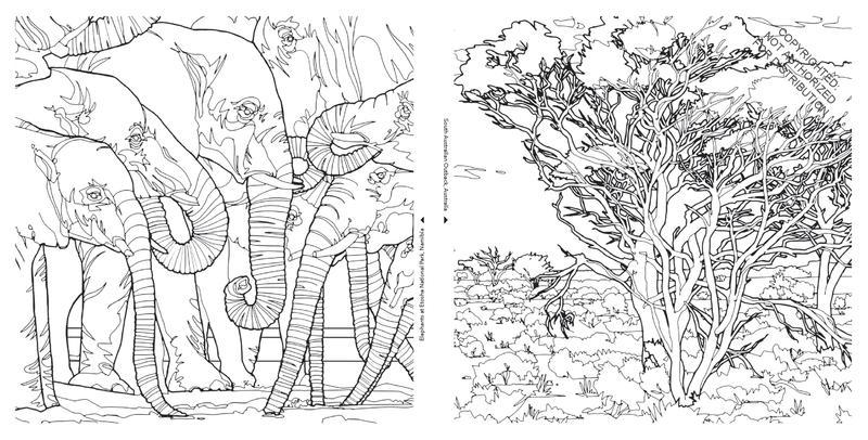 Fantastic Coloring Book for Adults & Kids - Stress Relief & Creativity Booster | Perfect for Relaxation, Art Therapy & Family Bonding