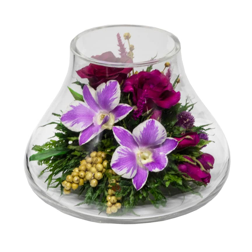 Luxury Preserved Orchid Arrangement in Glass Vase - Long Lasting Silk Flowers for Anniversary, Wedding, Corporate Gifts - Perfect for Home Decor, Office Centerpiece & Special Occasions
