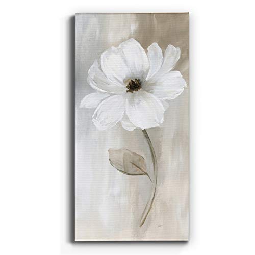 Art 41620