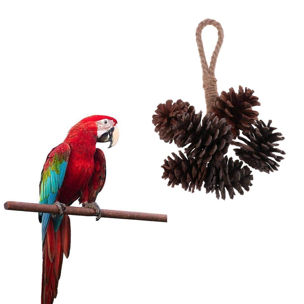 Natural Pine Cone Chewing Bird Toys - Safe Wooden Perches for Parrots, Cockatiels & Conures | Perfect for Cage Enrichment & Beak Trimming