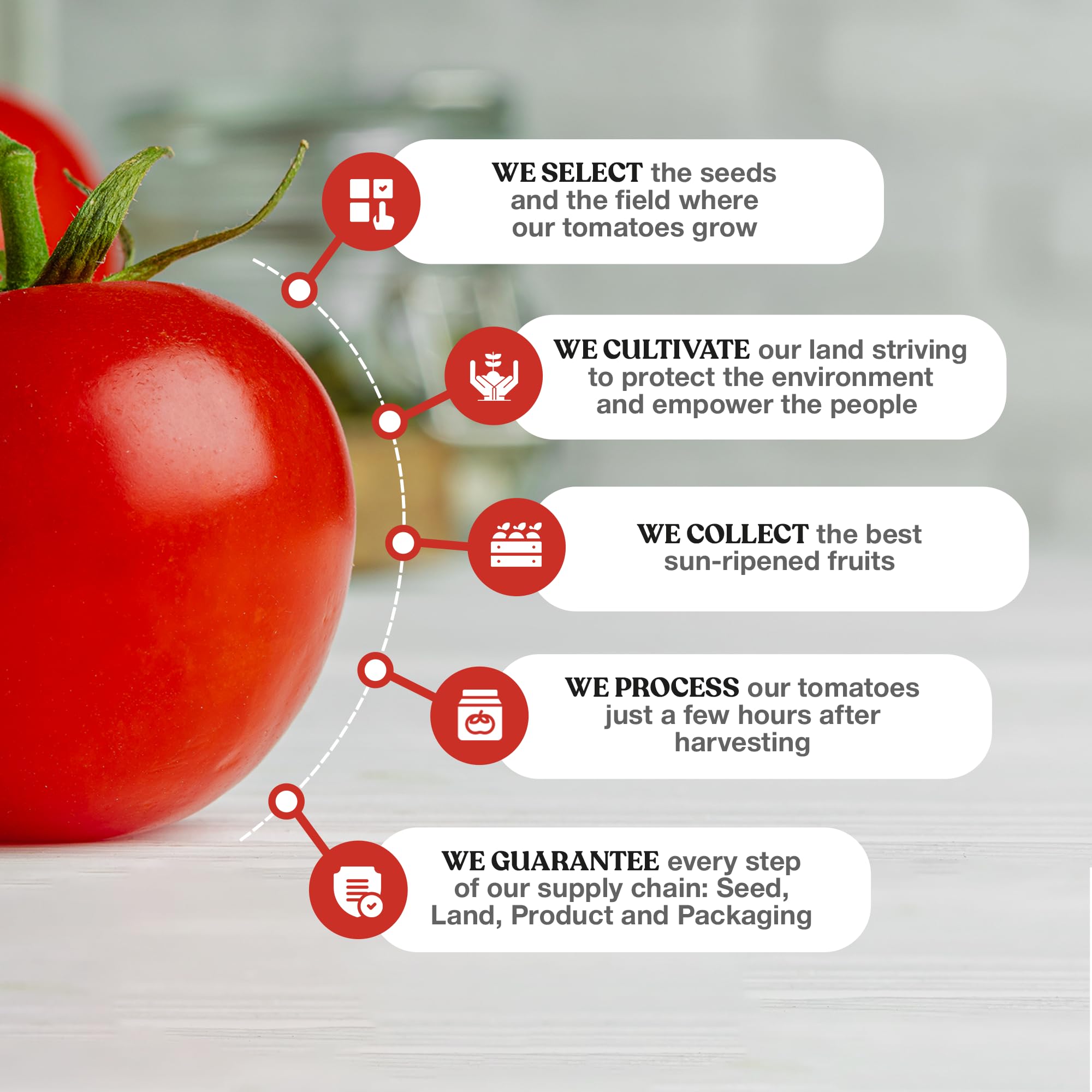 Pomì Marinara Sauce 26.46oz (Pack of 12) - Authentic Italian Tomato Sauce - Non-GMO, Gluten-Free, No Salt Added - Made with 100% Fresh Italian Tomatoes - Perfect for Pasta, Pizza & Italian Cooking - No Additives or Preservatives - Creamy & Velvety Texture
