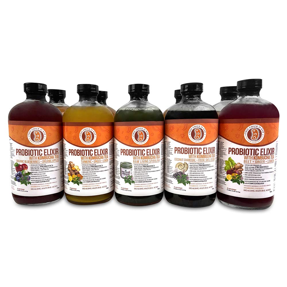 Organic Probiotic Elixir with Kombucha Tea - Variety Pack (12 Bottles, 16oz Each) by This Chick Is Raw - Gut Health Drink for Digestion, Immunity & Energy Boost - Perfect for Office, Gym & Home