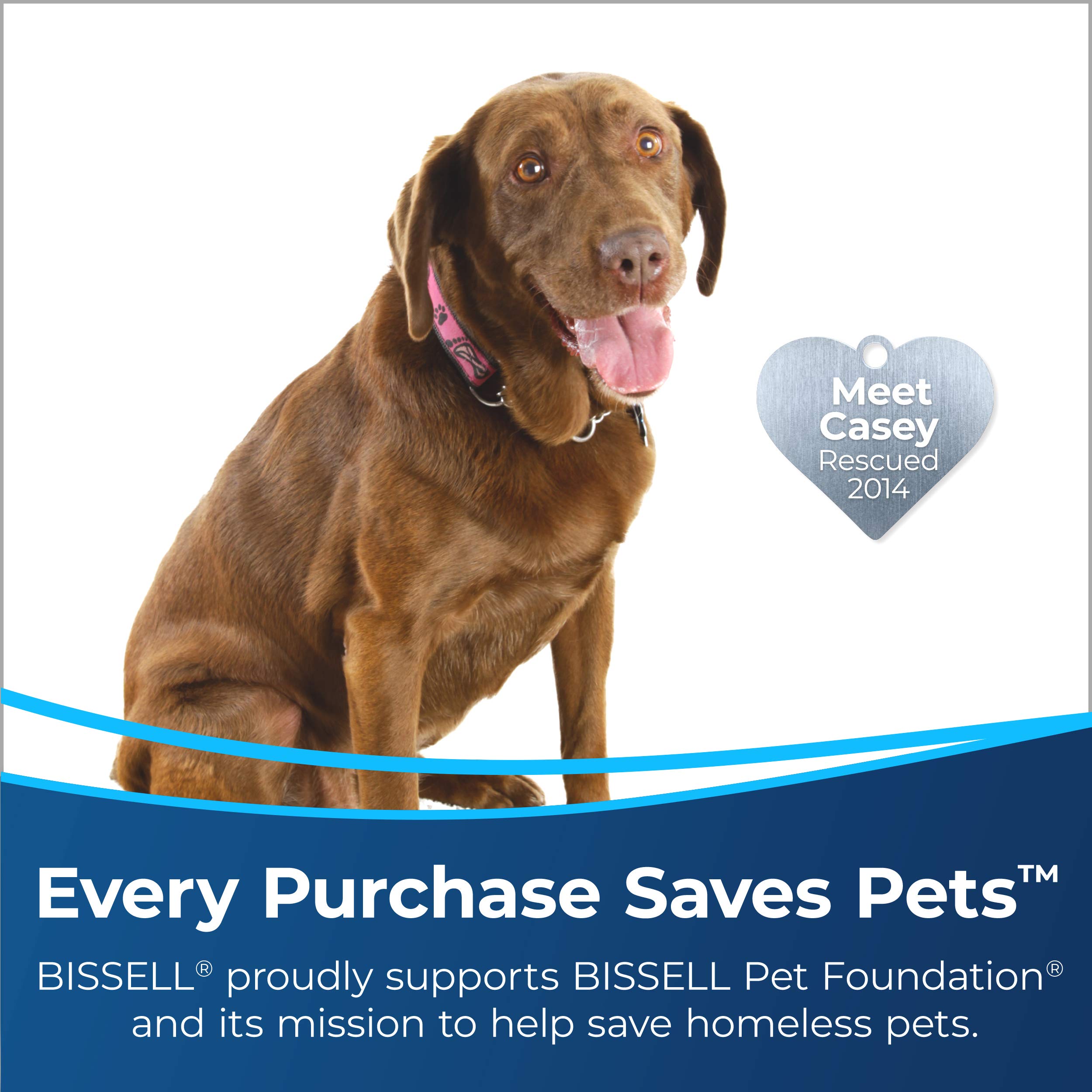 BISSELL Crosswave Pet Pro 2306Y All-in-One Wet Dry Vacuum Cleaner and Mop for Hard Floors & Area Rugs - Perfect for Pet Hair, Spills & Multi-Surface Cleaning at Home
