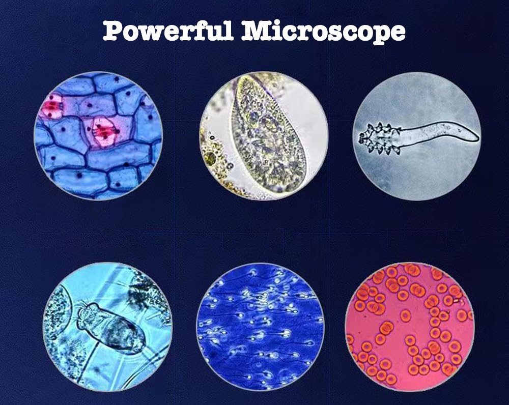 40X-5000X Professional Trinocular Compound Microscope for Adults & Lab Use - with WF10X & WF25X Eyepieces, Abbe Condenser, Microscope Slides - PC/Phone Screen Link Compatible - Perfect for Biological Research, Classroom Education & Scientific Exploration