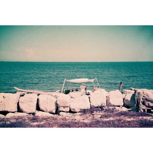 Lomography Lomochrome Purple Color Negative Film - 110 Cartridge, 24 Exposures | Unique Purple Tones for Creative Photography, Landscape & Artistic Shots
