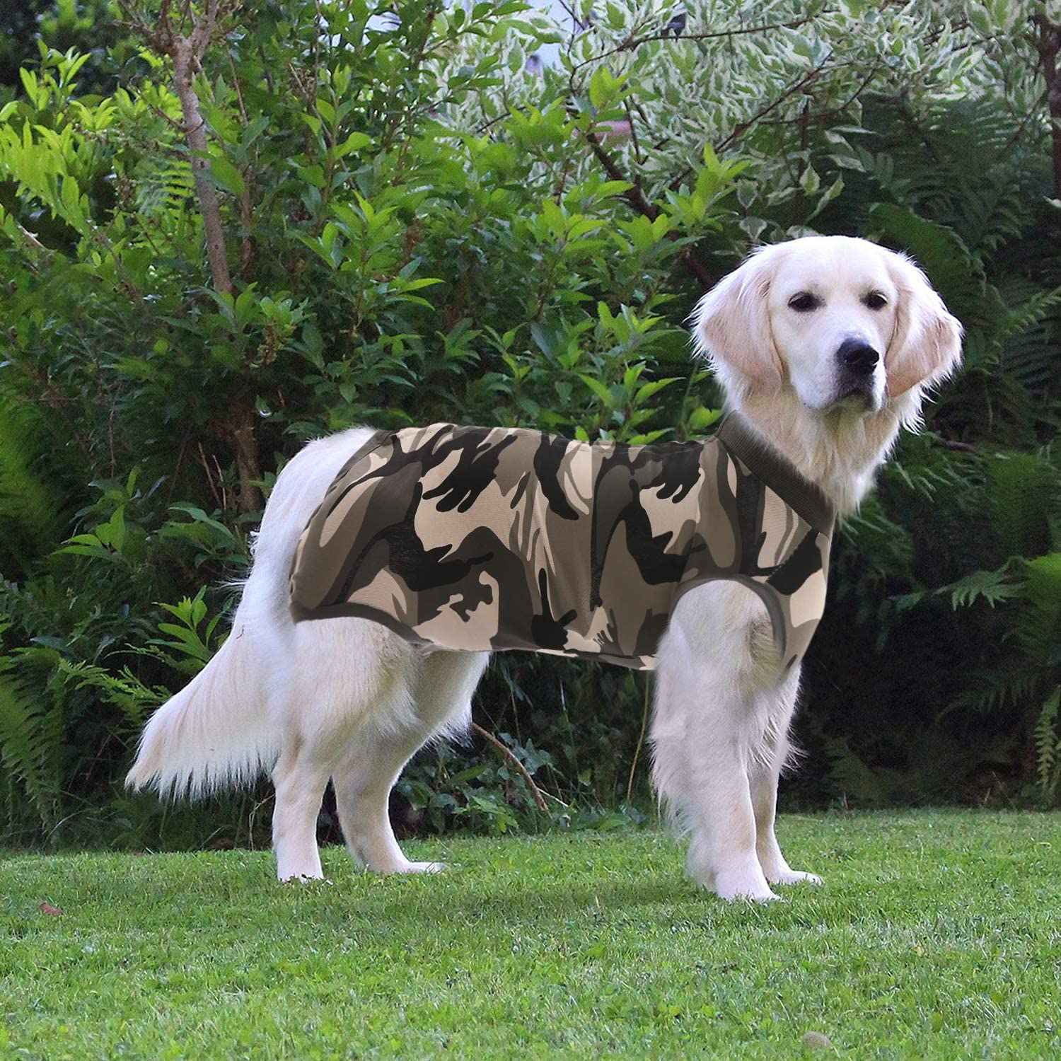 SAWMONG Dog Recovery Suit - Post-Surgery Surgical Suit for Dogs, Spay/Neuter Onesie for Female & Male Dogs - Alternative to E-Collar Cone - Camouflage Print - X-Small - Perfect for Post-Op Care, Wound Protection & Comfort at Home