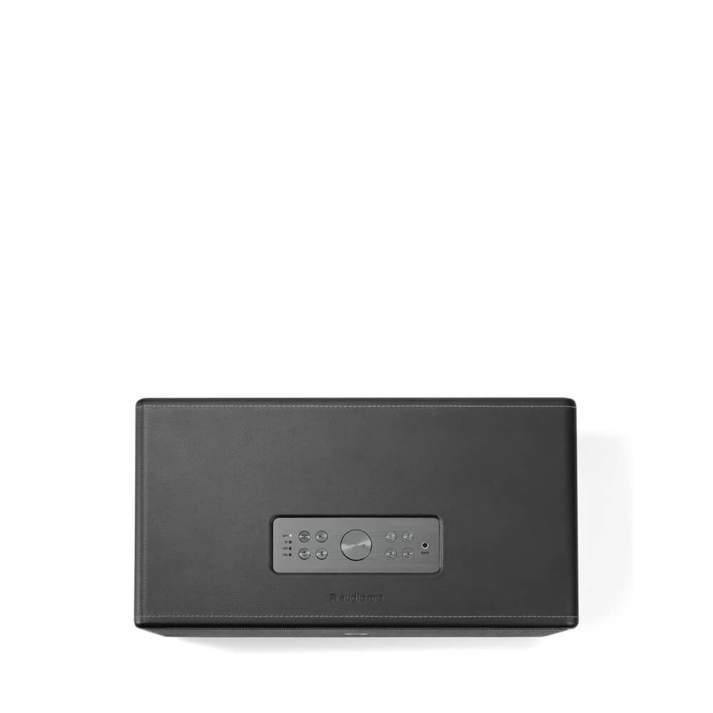 Audio Pro D1 Wireless Multiroom Speaker - Premium Ash Black | High-Quality Bluetooth Speaker for Home, Office & Outdoor Use