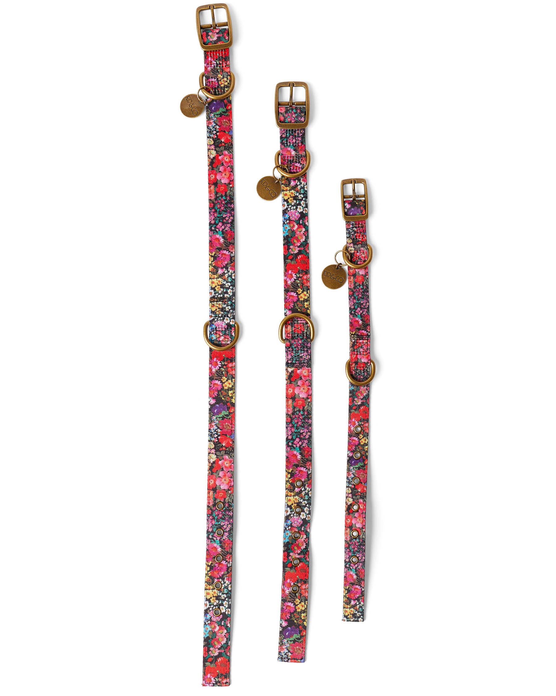 Forever Floral Black Dog Collar - Adjustable Pet Collar with Durable Nylon & Floral Pattern for Small Medium Large Dogs - Perfect for Walks, Training & Everyday Wear