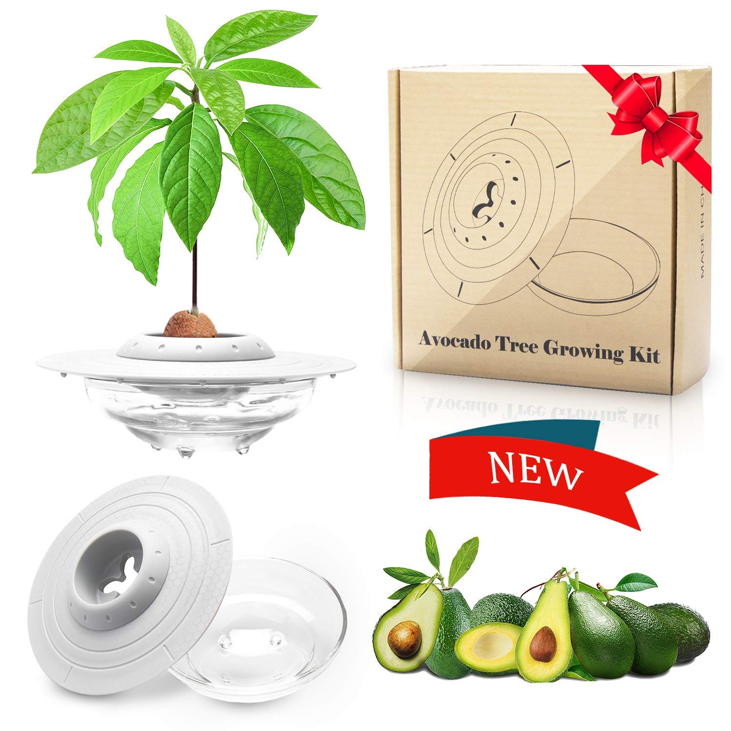 iBayx Avocado Seed Starter Kit - 12 Cell Plant Growing Tray for Avocado Trees, Garden Germination Bowl with Drainage Holes | Perfect Gardening Gift for Women & Family | Indoor Herb Garden & Backyard Planting