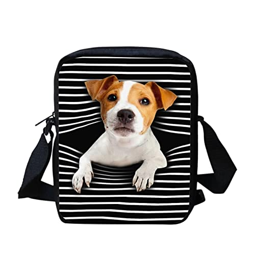 Jack Russell Terrier Dog