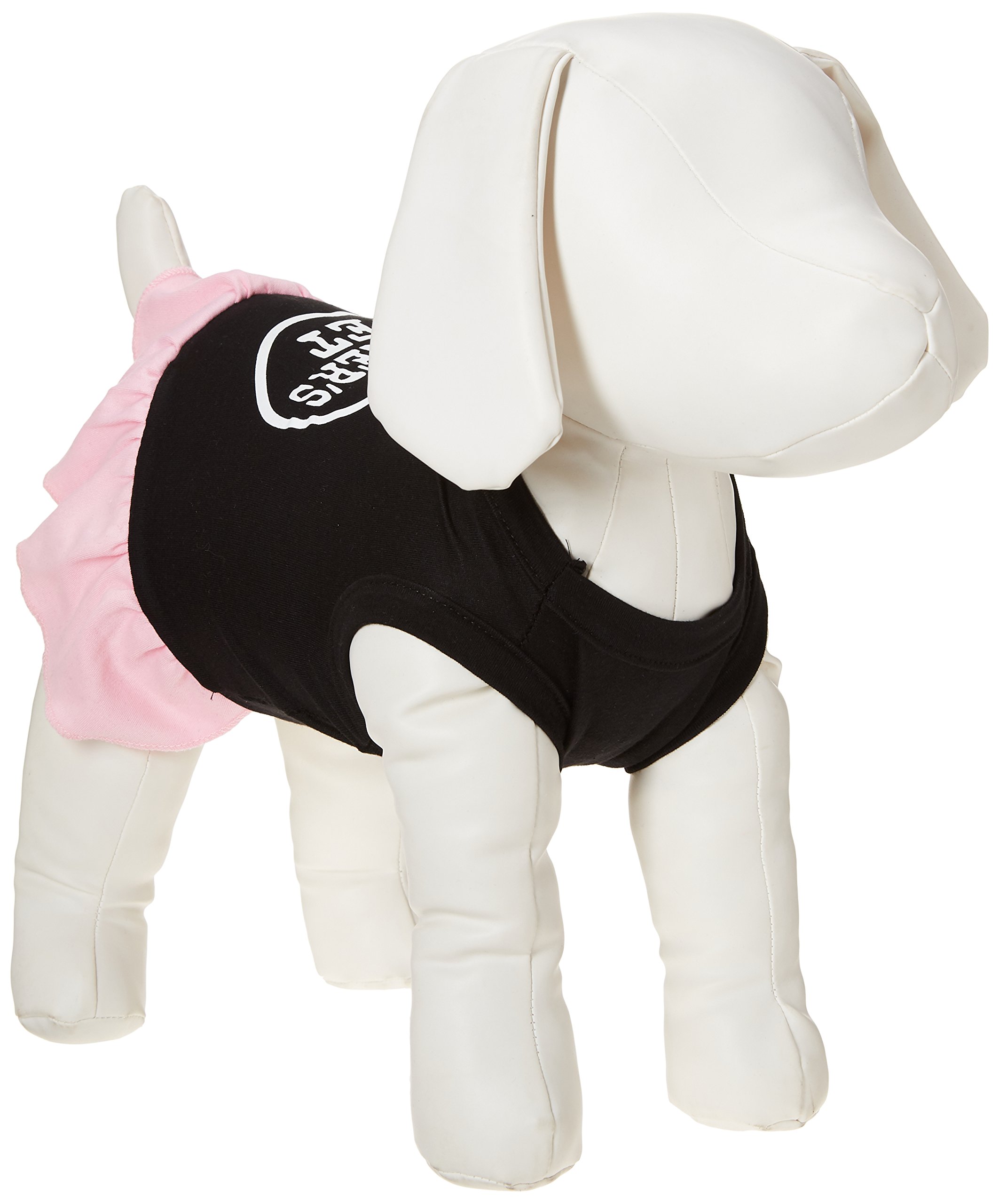 Mirage Pet Products 12