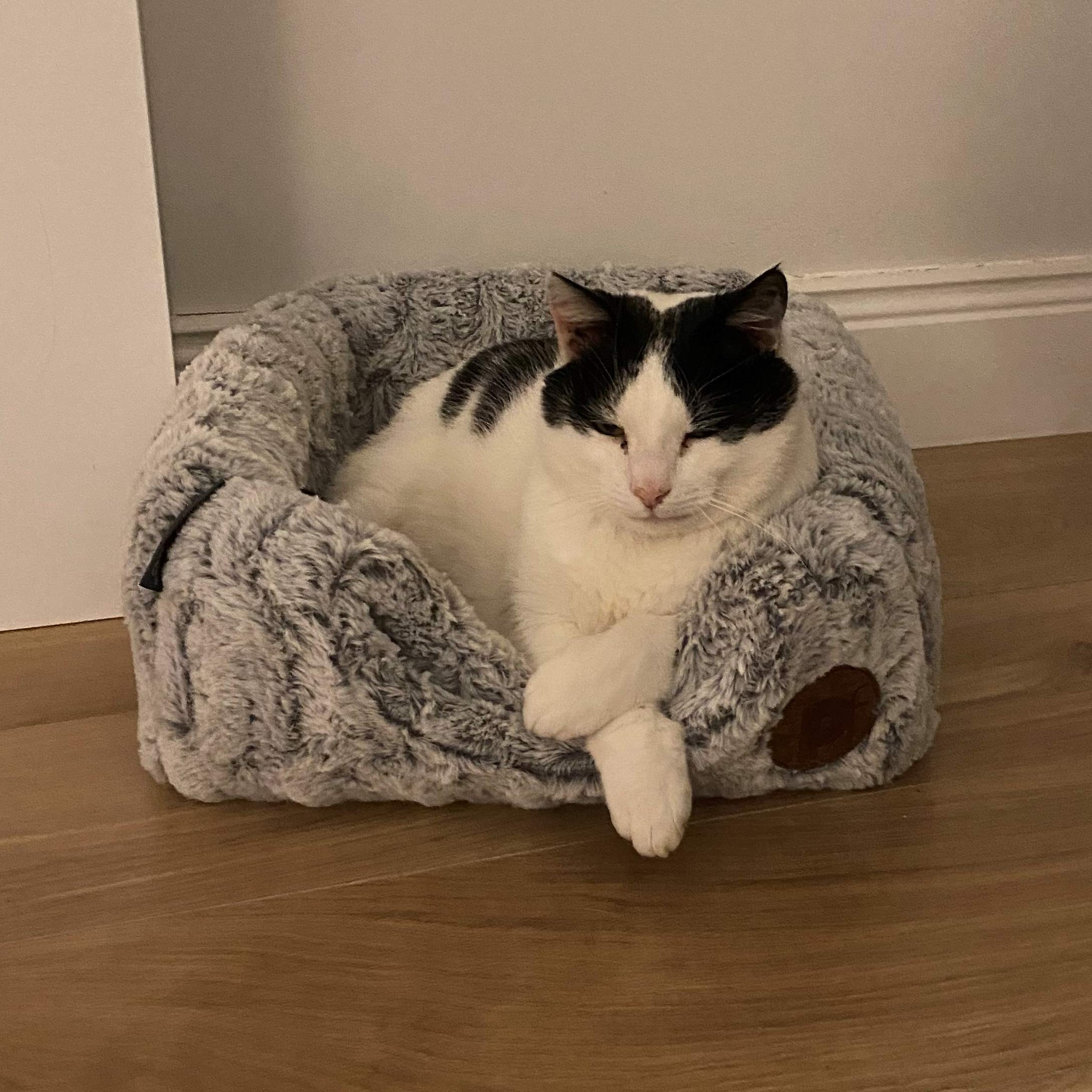 Cozy Plush Cat Cave Bed - Soft & Luxurious Bamboo Igloo Pet Bed for Cats & Kittens - Perfect for Indoor Napping, Lounging & Warm Winter Nights