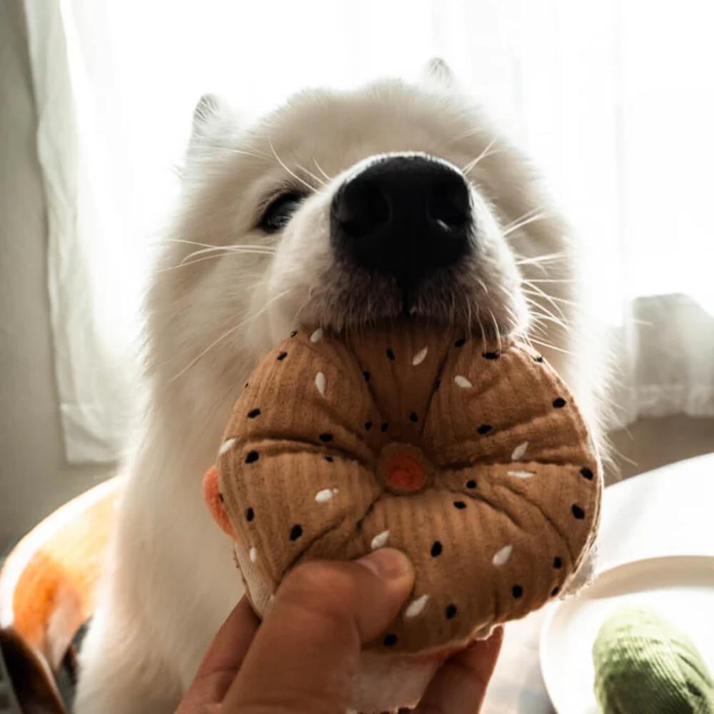 Snuffle Bagel with Pickle Dog Toy - Interactive Treat Puzzle for Dogs - Perfect for Boredom Relief & Mental Stimulation at Home or Outdoors