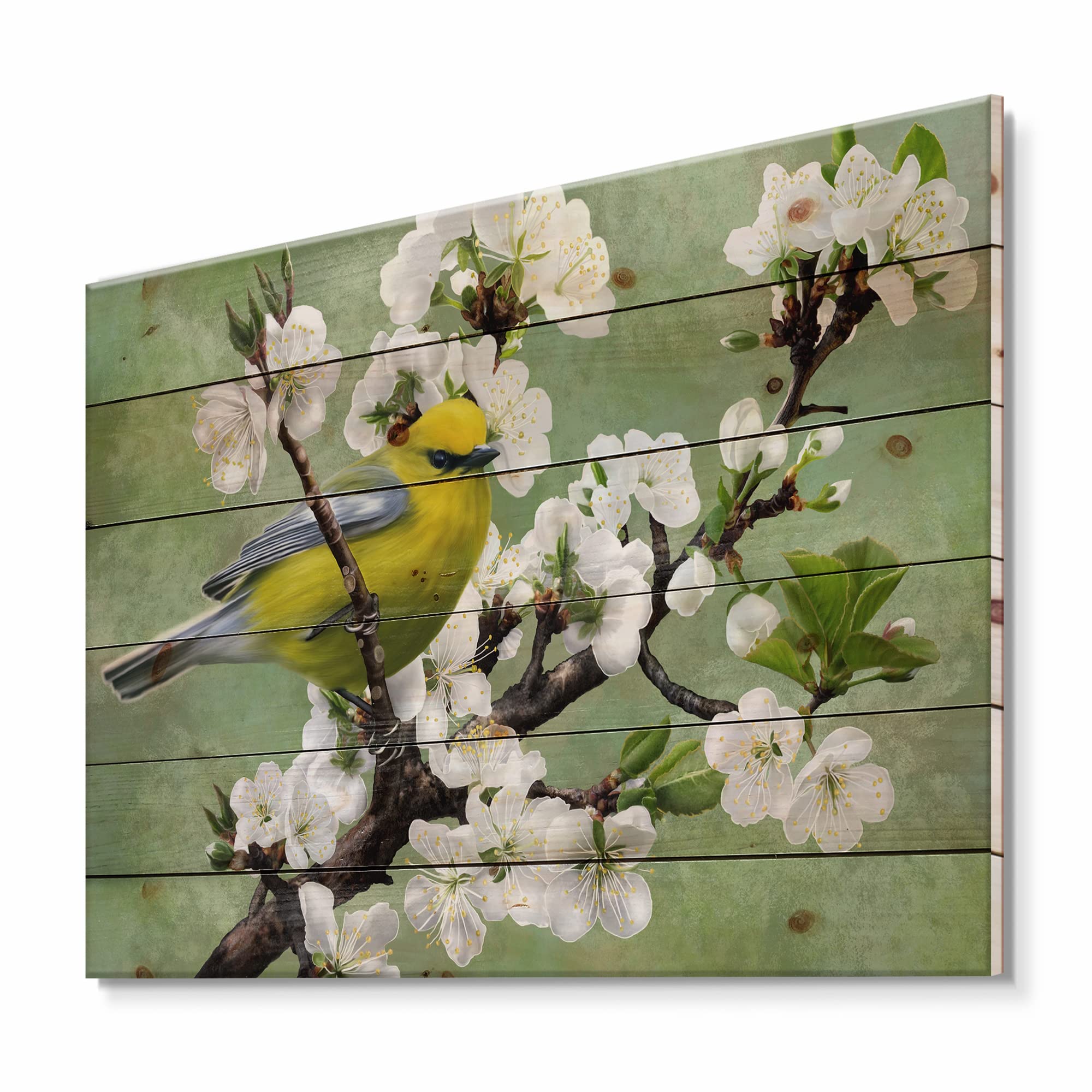DesignQ Traditional Cherry Branch Bird Wood Wall Art - Green Large Animal Wall Decor, Natural Pine Wood Panel Print - Perfect for Living Room, Bedroom & Office Decor