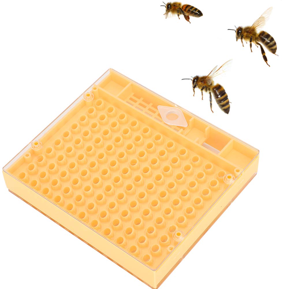 Queen Rearing Box - Plastic Bee Incubator for Beekeeping | Safe & Harmless Queen Bee Breeding Cage | Perfect for Apiary, Hive Management & Sustainable Honey Production