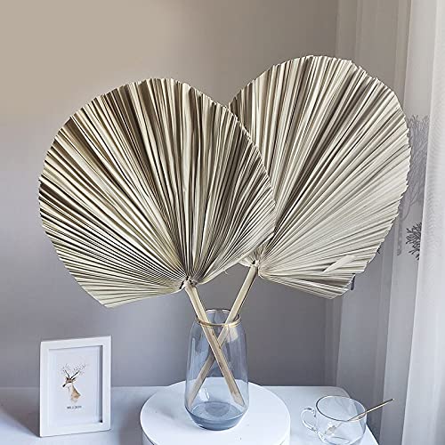 Natural Dried Palm Leaf Fan Decor - Handmade Dried Flowers for Wall Hanging, Wedding Arch, Party & Window Decoration - Boho Home Decor, Tropical Reception Decorations