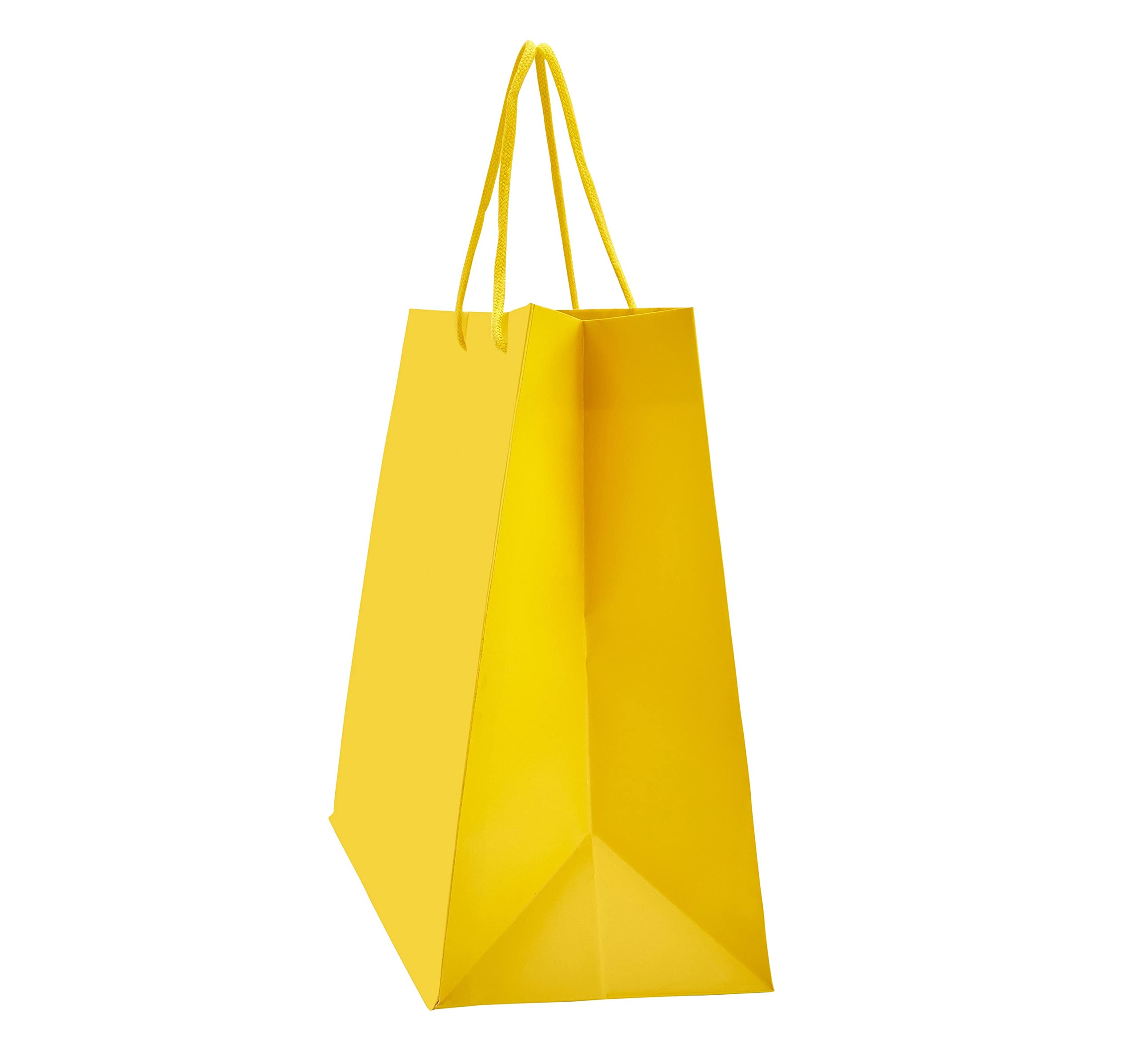 PTP BAGS Sunrise Matte 16x6x12 Inch Reusable Euro Tote Bags - Pack of 100 Eco-Friendly Paper Gift Bags for Shopping, Retail, and Party Favors