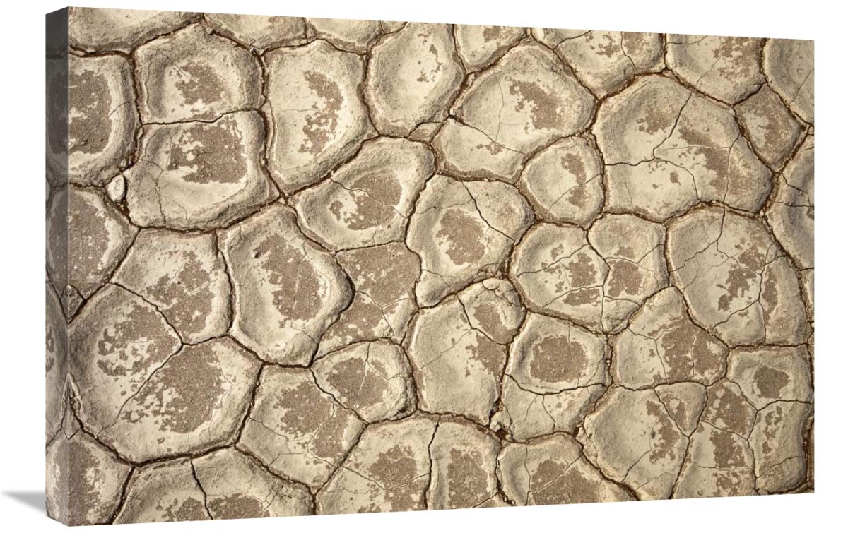 Vincent Grafhorst Dead Vlei Clay Pan Art Print - 20x30 Inch Desert Landscape Wall Decor for Living Room, Office & Bedroom