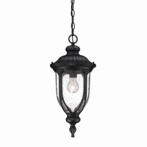 Acclaim 2216BK Laurens Collection Matte Black Outdoor Hanging Lantern - 1-Light Weatherproof Porch Light Fixture for Patio, Garden & Entryway Decor