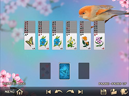 Summertime Solitaire - Fun & Relaxing PC Card Game for Summer Vacation & Leisure Time