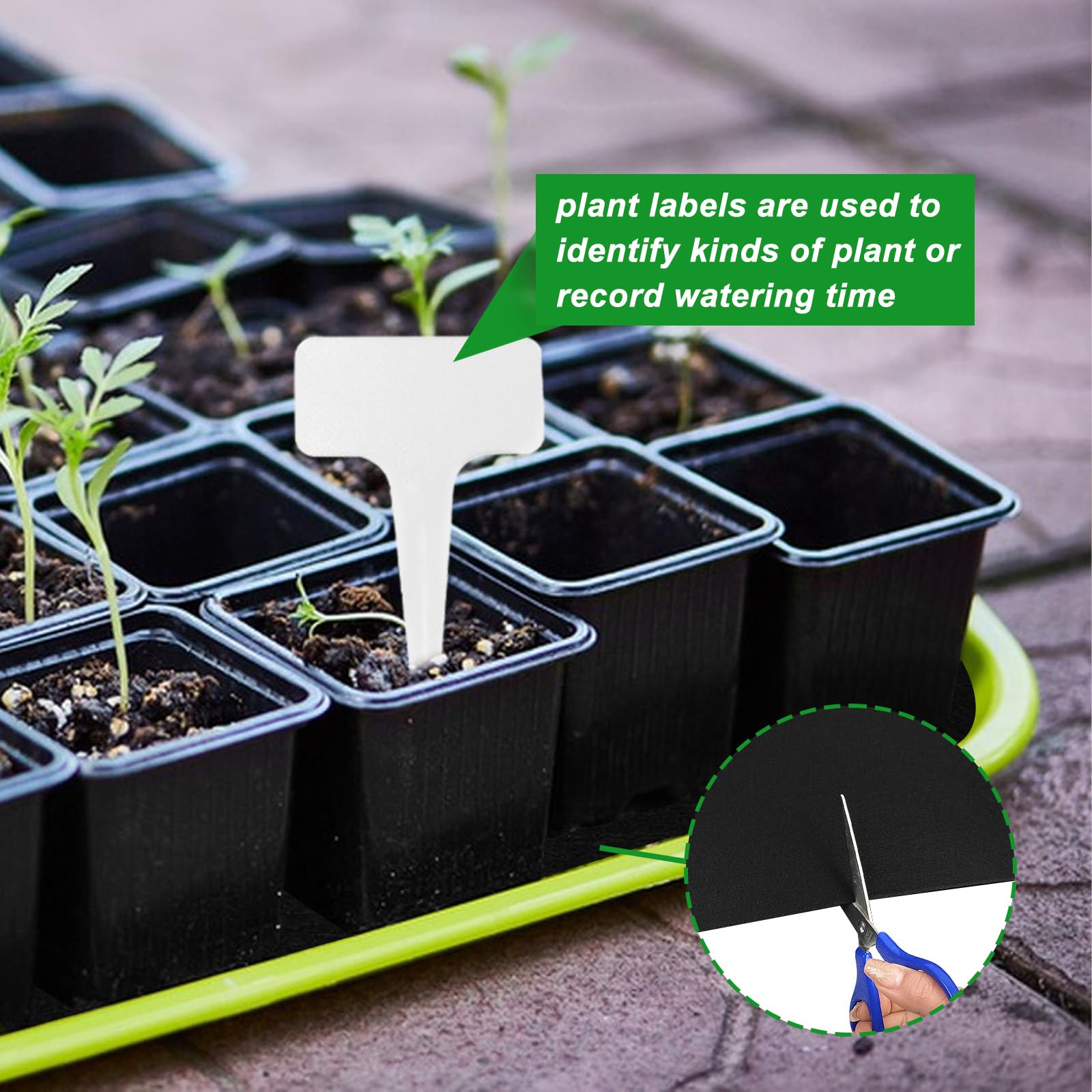 2 Pack Automatic Plant Watering Mat - 3mm Thick Self Watering Capillary Mat with 20 Plant Labels | Vacation Plant Watering System for Indoor Potted Plants, Greenhouse & Hydroponics | Perfect for Home Gardening, Plant Care & Holiday Travel