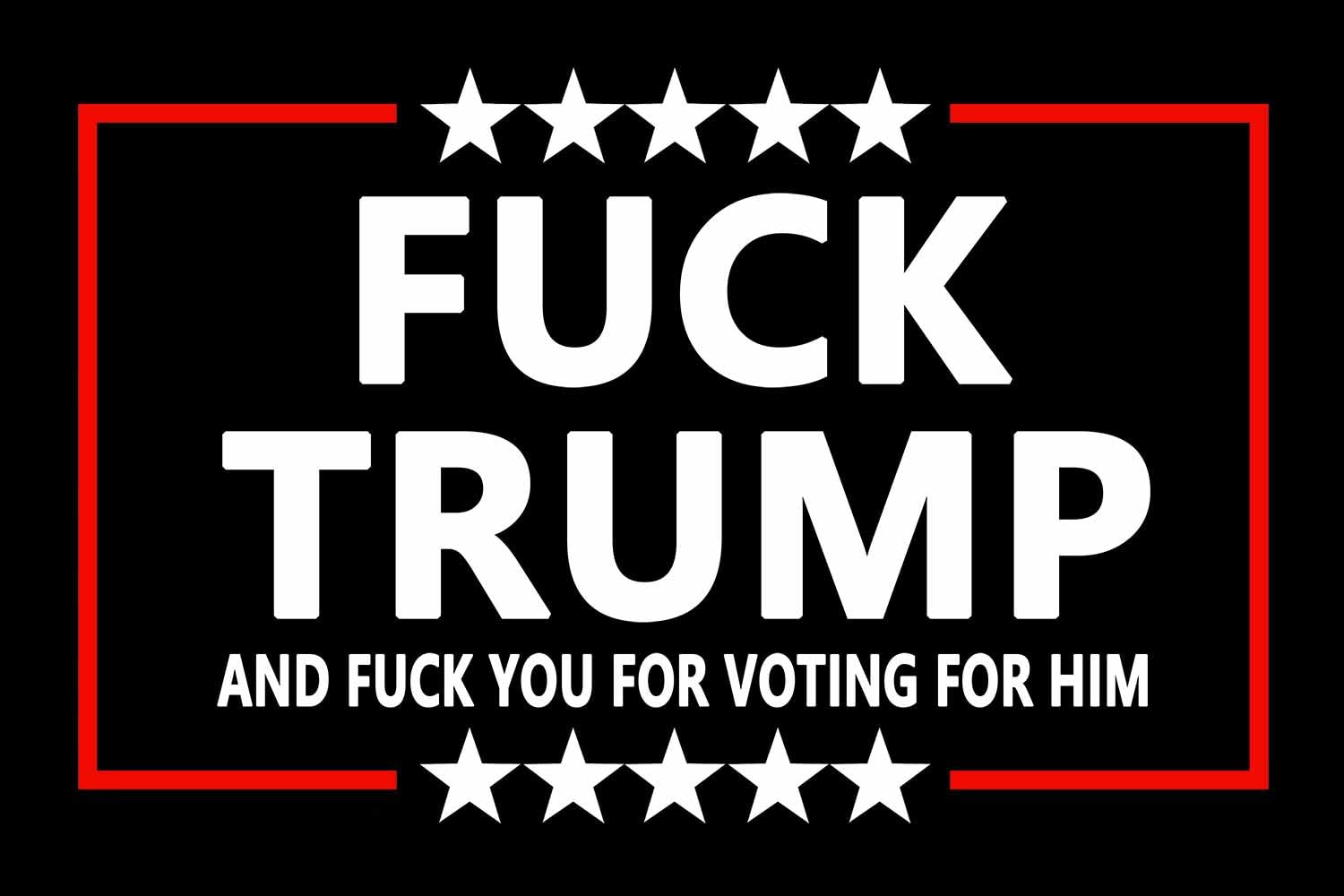 10 Pack Anti-Trump Political Stickers - Waterproof Decals for Laptop, Bumper, Window & Car - Funny Political Protest Decoration for Elections & Activism