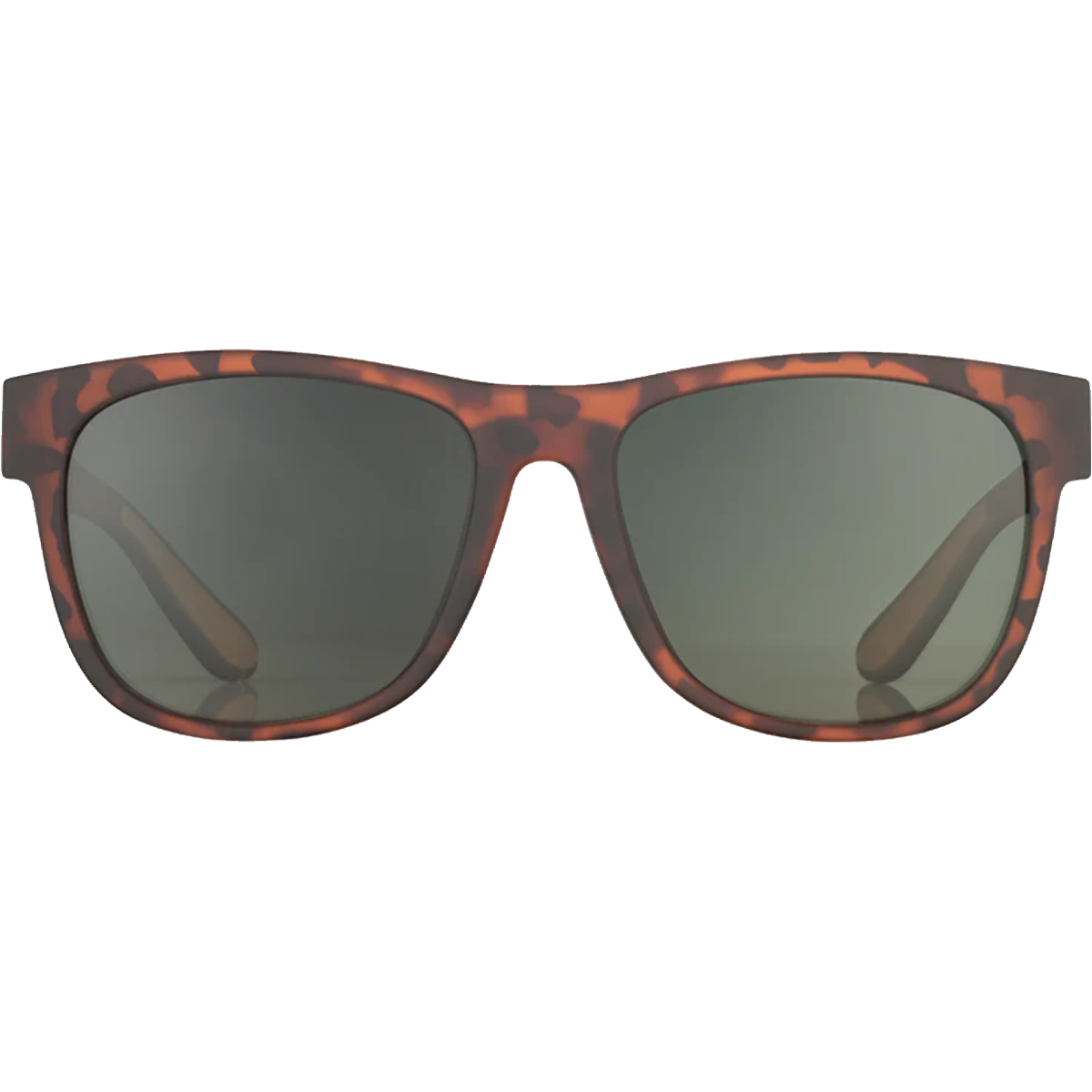 Tortoise/Brown