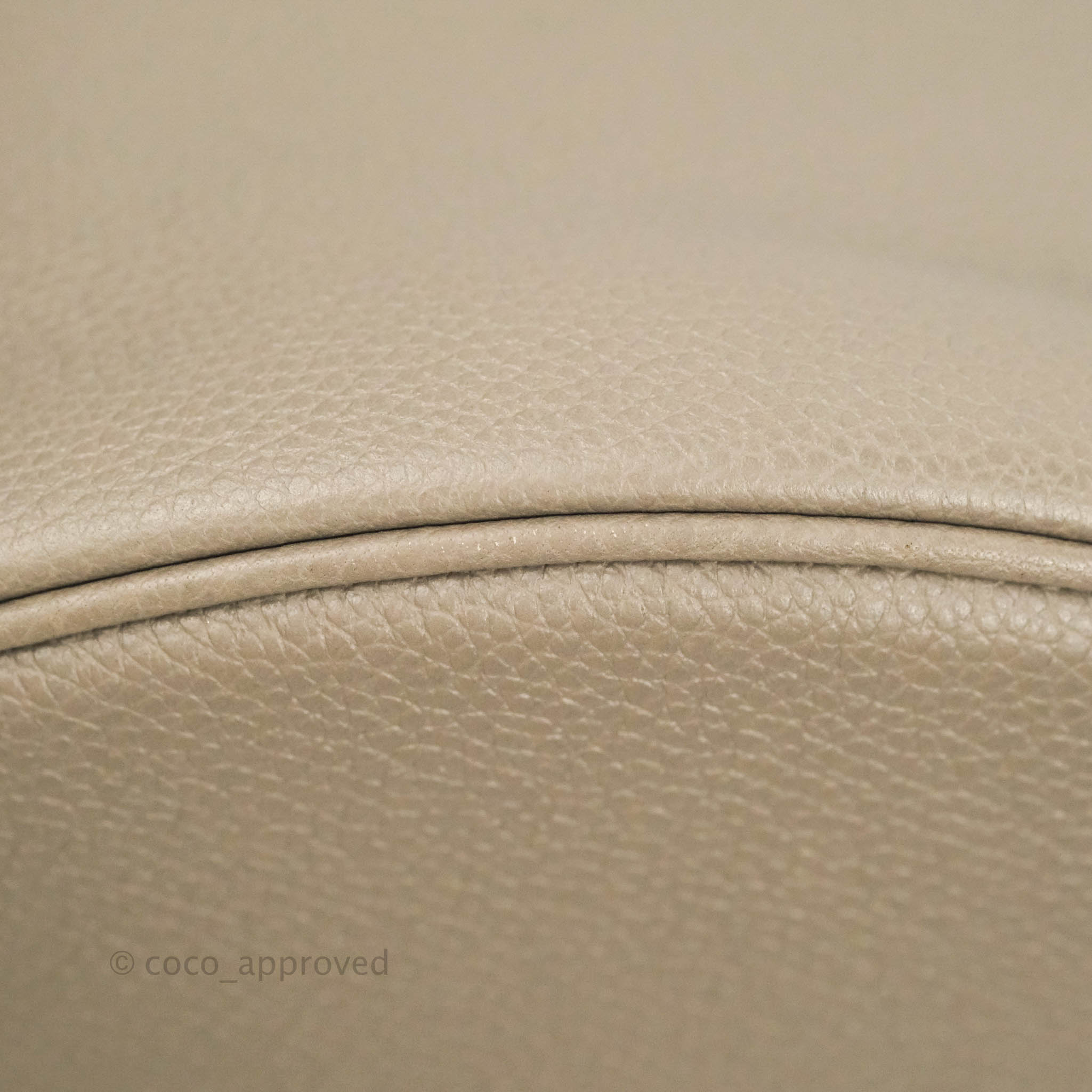 Celine Bucket 16 Handbag in Soft Grained Calfskin with Pebble Gold Hardware - Perfect for Everyday Use, Work, and Travel