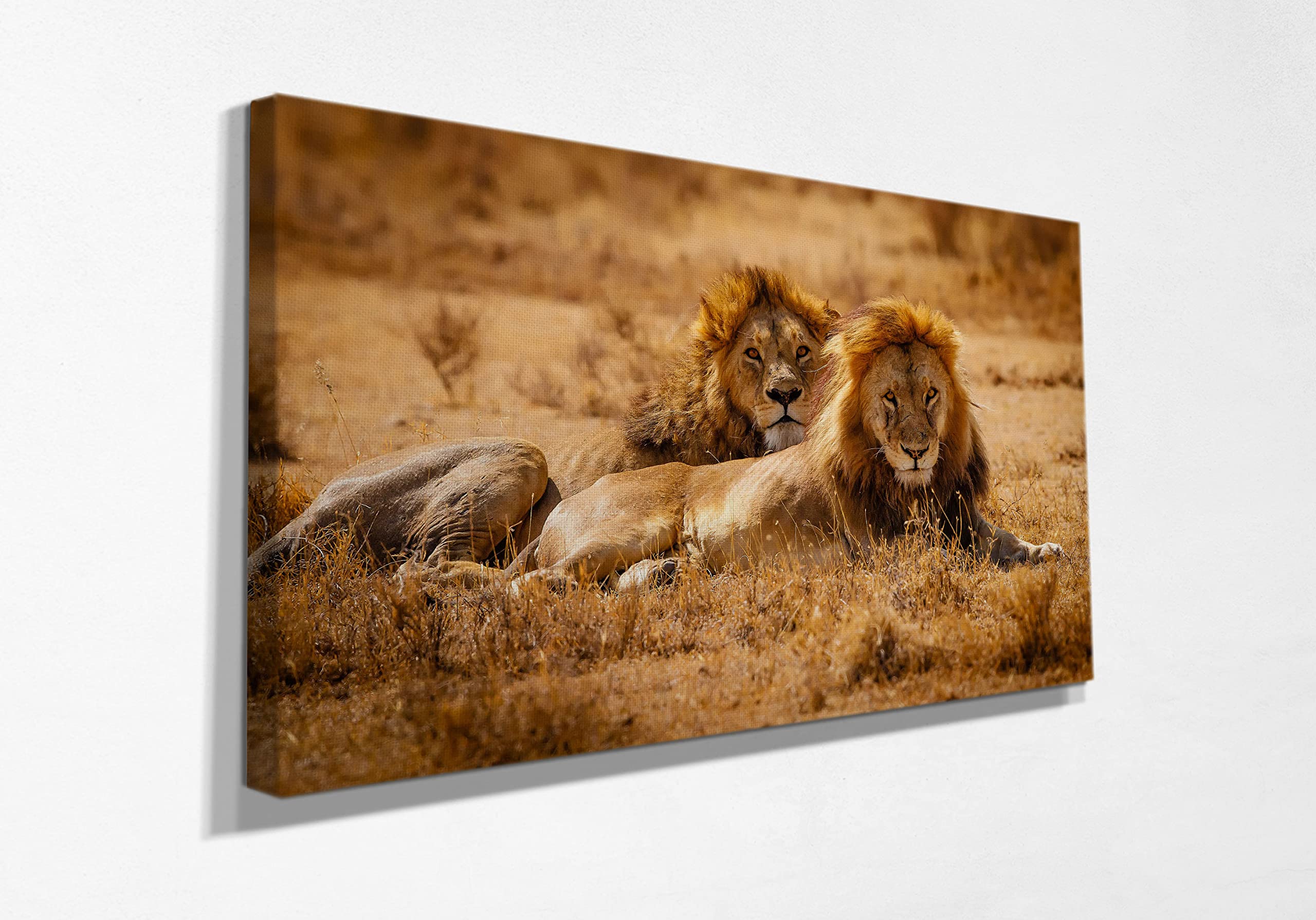 Two Adult Lion Animal Art Canvas Prints - Framed Wall Decor for Bedroom, Living Room & Kitchen - Ready to Hang Home Decor (40x60 inches) - Perfect for Wildlife Theme Rooms & Office Spaces