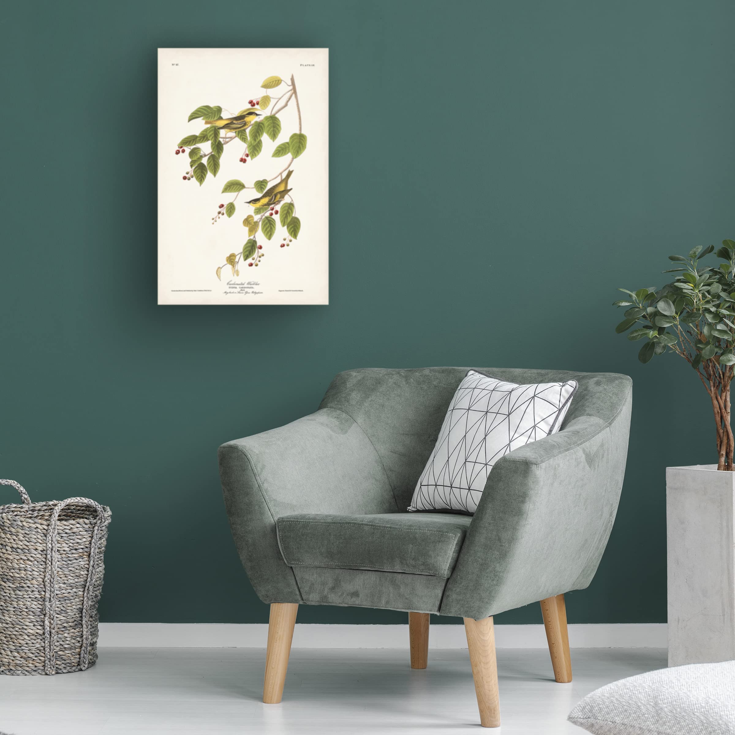 Trademark Fine Art 'Carbonated Warbler' Canvas Print by John James Audubon - 30x47 Inch Nature Bird Wall Art for Living Room, Bedroom & Office Decor