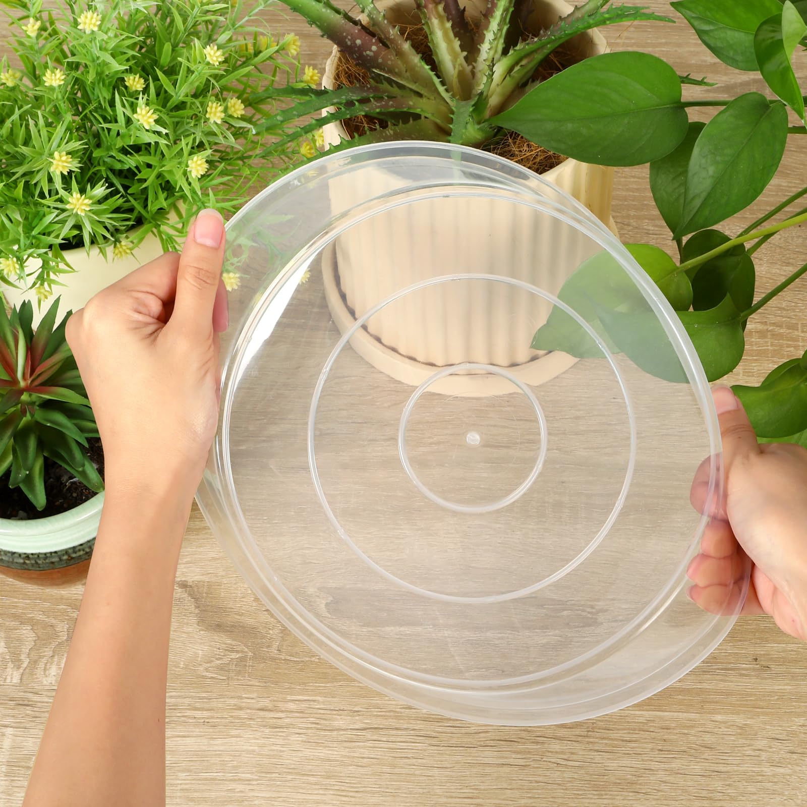 10 Inch Clear Plastic Plant Saucers (5 Pack) - Durable Water Catcher Trays for Indoor & Outdoor Flower Pots - Perfect for Home, Garden, and Balcony Planters - Prevents Water Damage to Floors and Surfaces