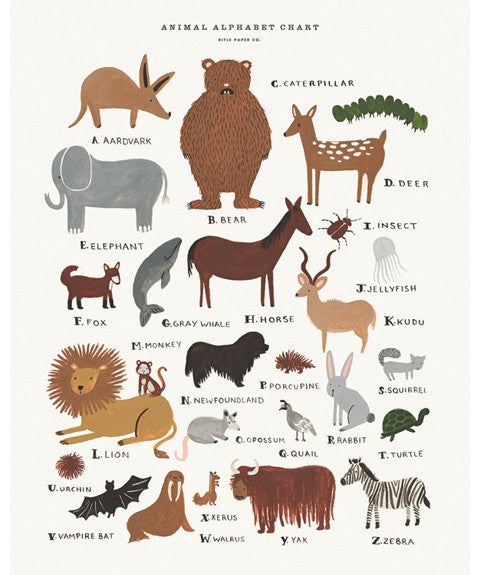Rifle Paper Co Medium Animal Alphabet Print - Nursery Wall Art, Kids Room Decor, Baby Shower Gift & Educational Learning Poster for Toddlers