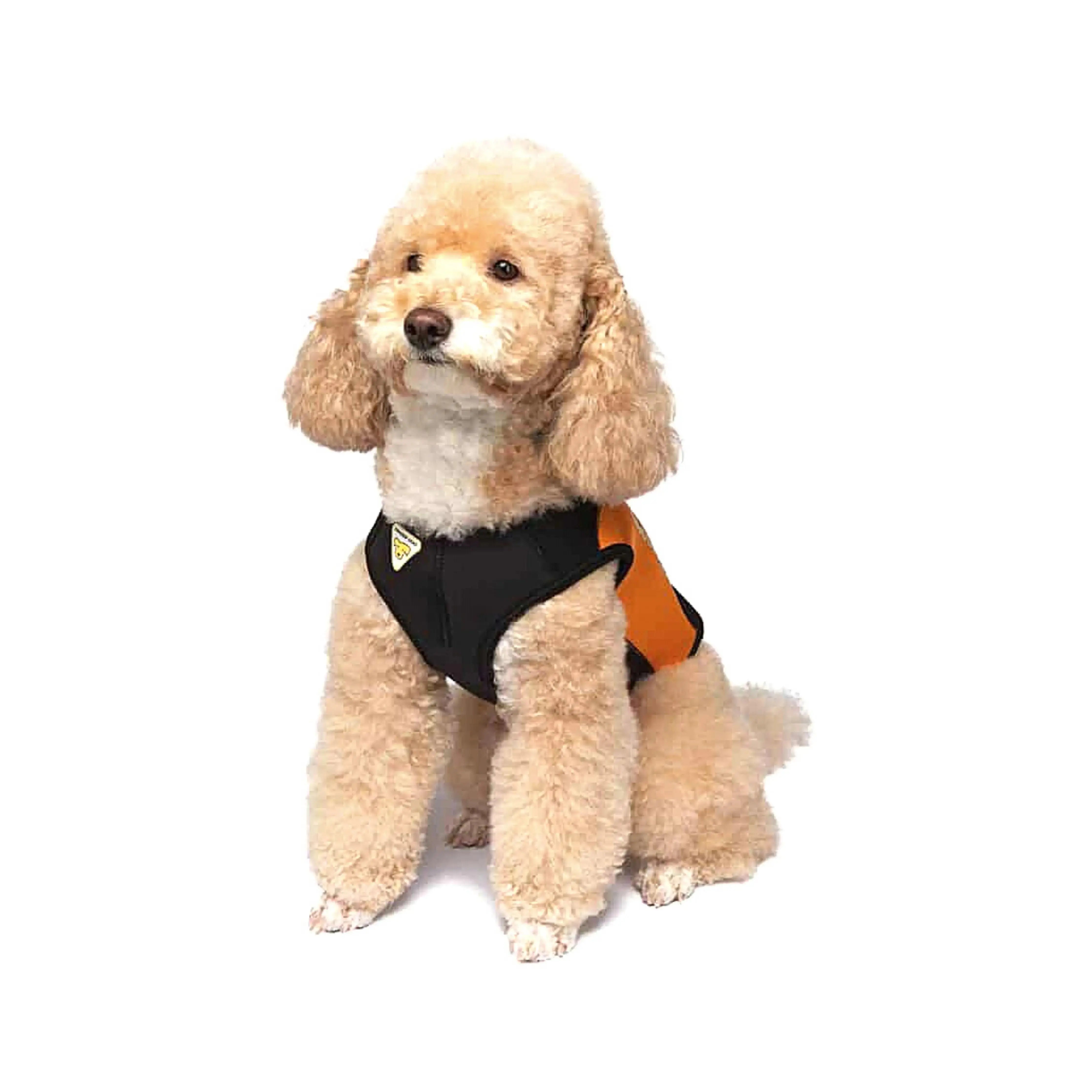 CRESSI Small Dog Wetsuit for Swimming & Water Sports - Neoprene Pet Wetsuit for Beach, Pool & Outdoor Adventures