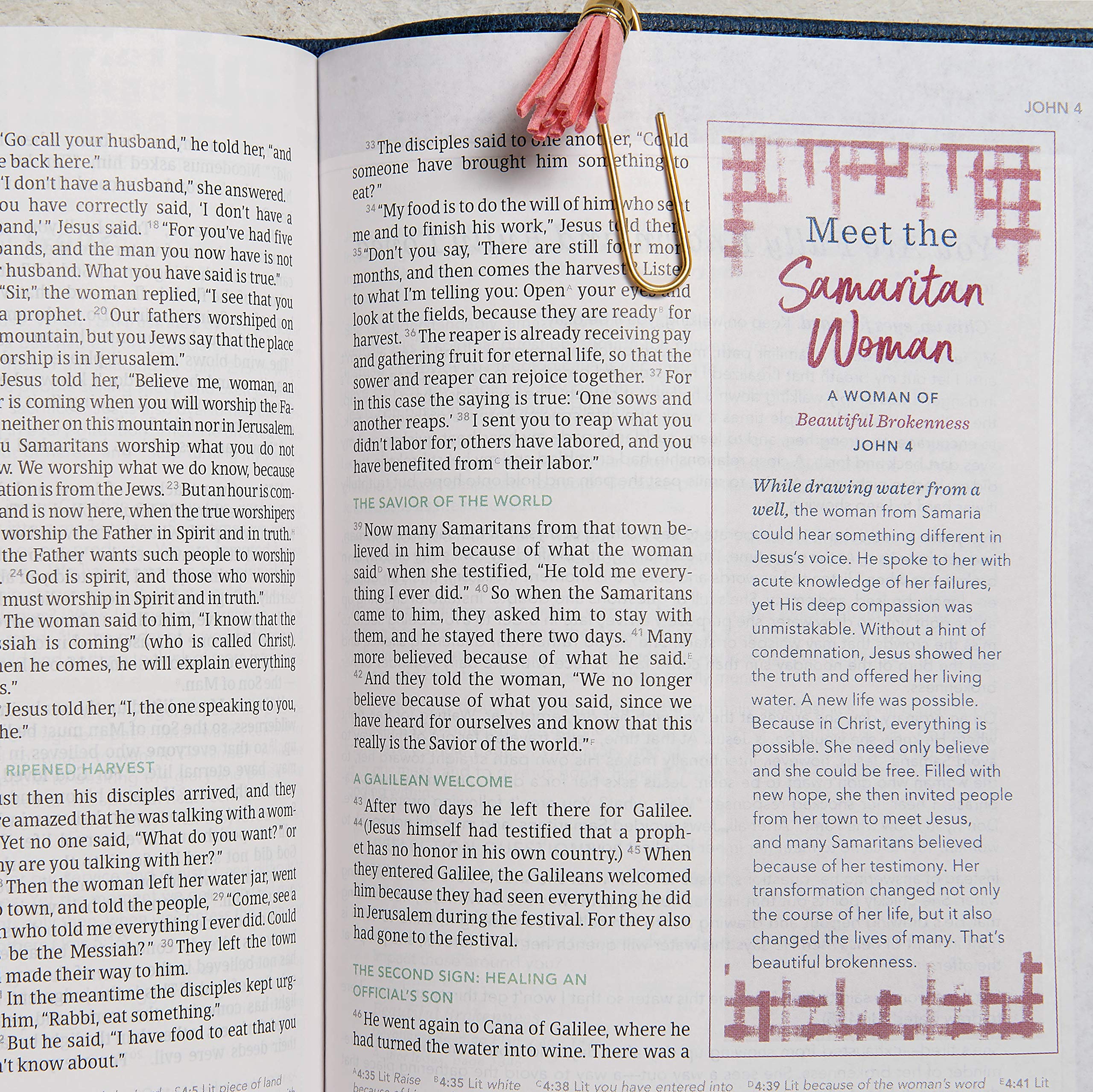 CSB Devotional Bible - Navy Genuine Leather, Devotionals & Journaling for Daily Bible Study