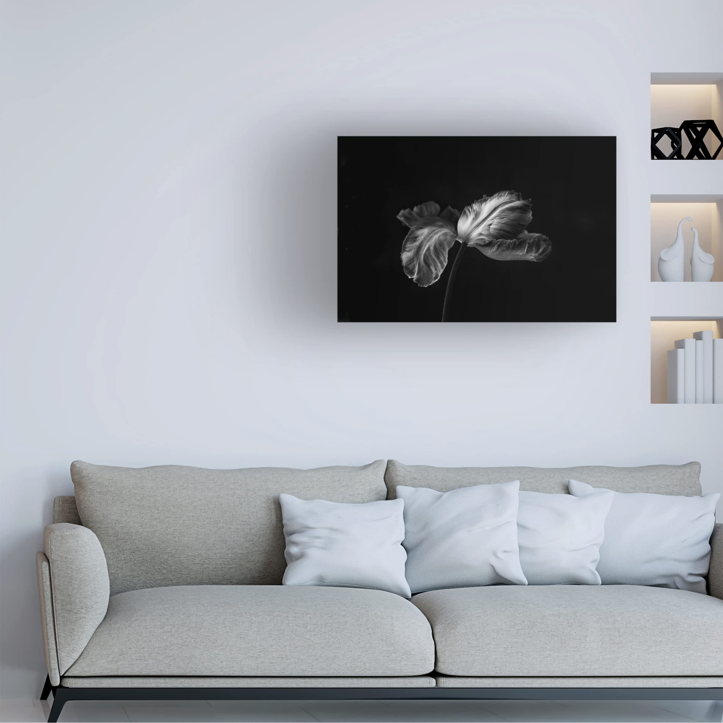 Trademark Fine Art 'Tulip In Mono 2' Canvas Wall Art Print by Lotte Gronkjaer - Floral Home Decor for Living Room, Bedroom & Office