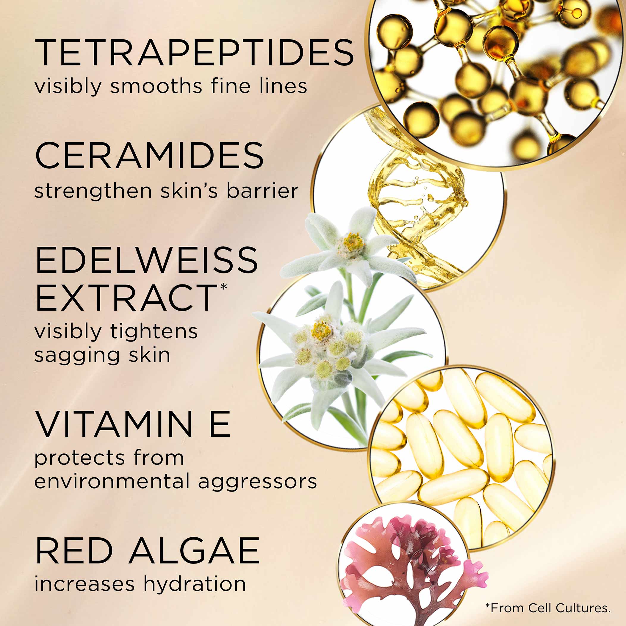 Advanced Ceramide Lift & Firm Day Cream SPF15 - Anti-Aging Moisturizer for Wrinkles & Fine Lines - Perfect for Daily Skincare Routine & Sun Protection
