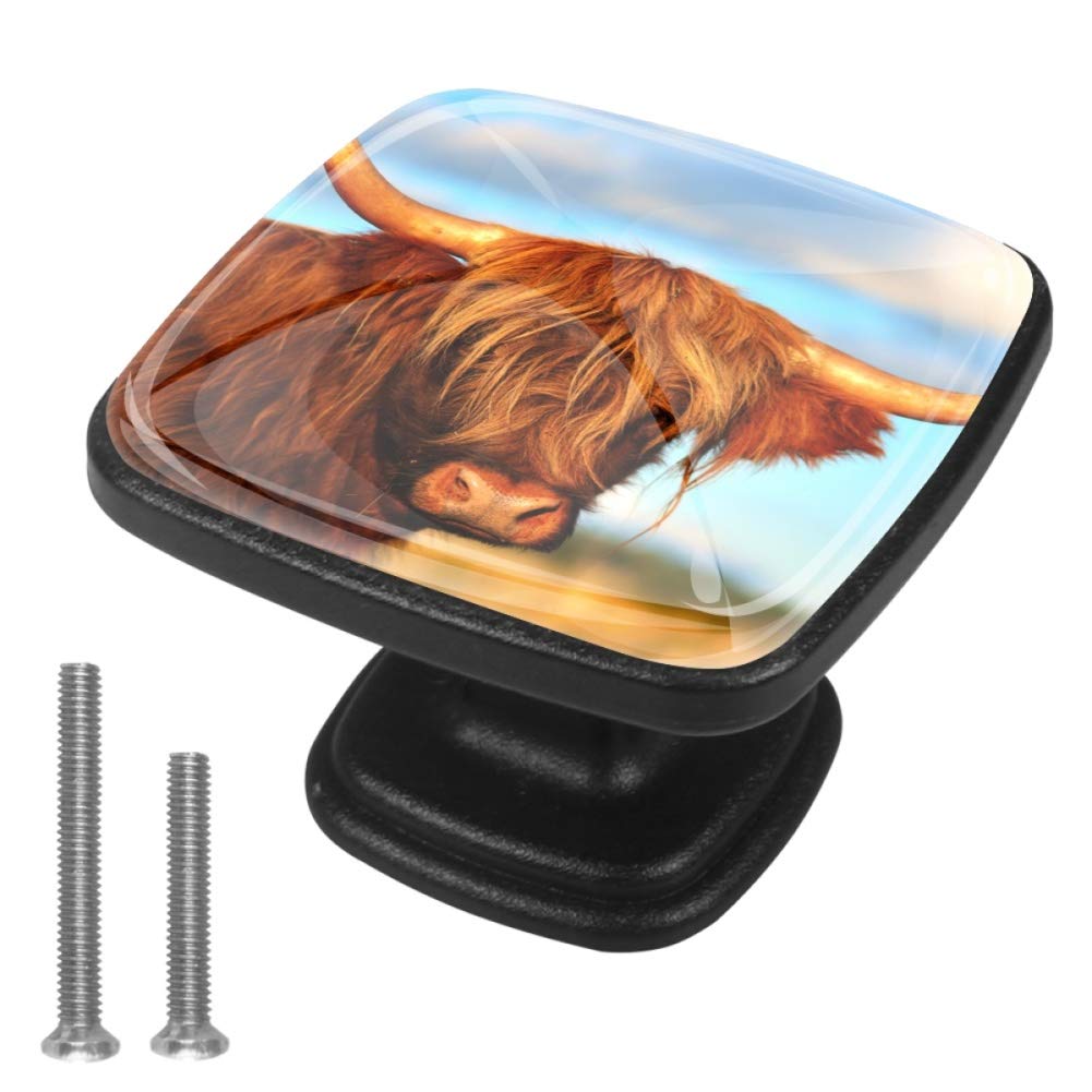 4-Piece Scottish Highland Cow Cabinet Knobs - 30mm Square Drawer Pulls for Kitchen, Bathroom, Dresser & Cupboard - Rustic Farmhouse Decor for Home & Office